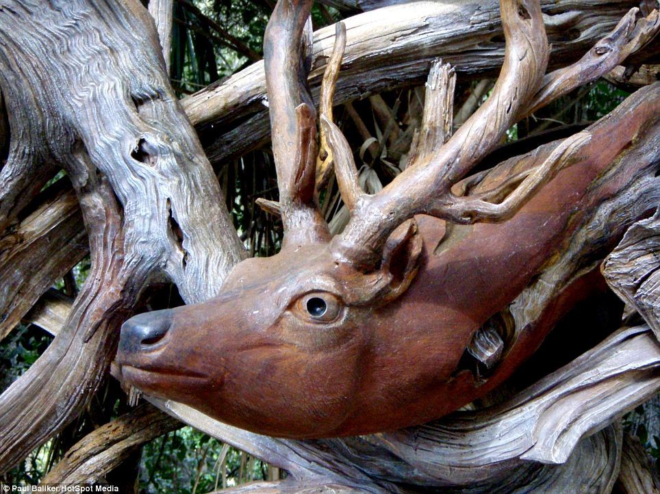 Competition wooden sculptures