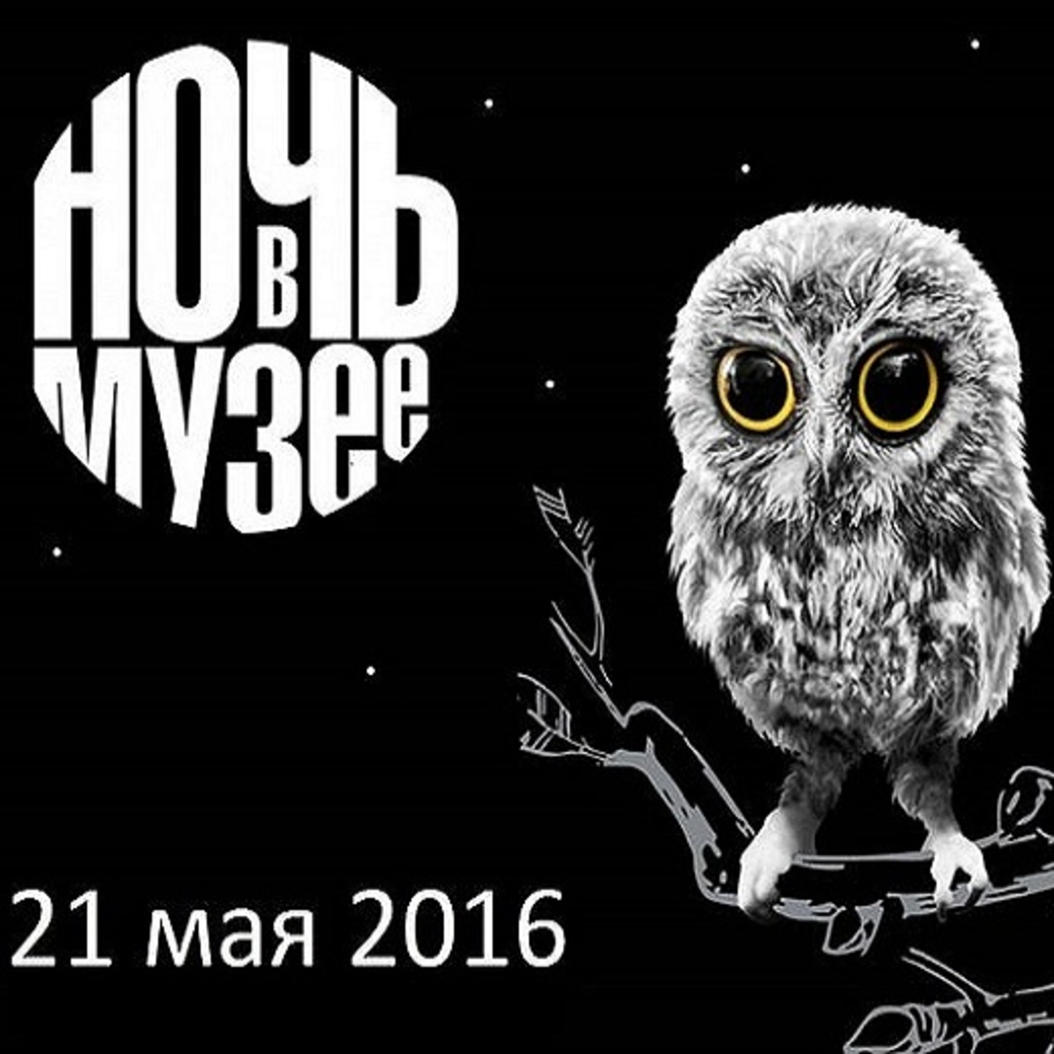 Night at the Museum 2016 Primorye State picture gallery